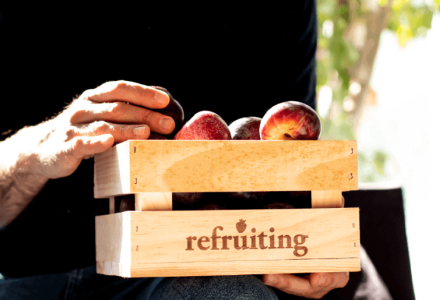 refruiting | Propiedades y beneficios de las ciruelas